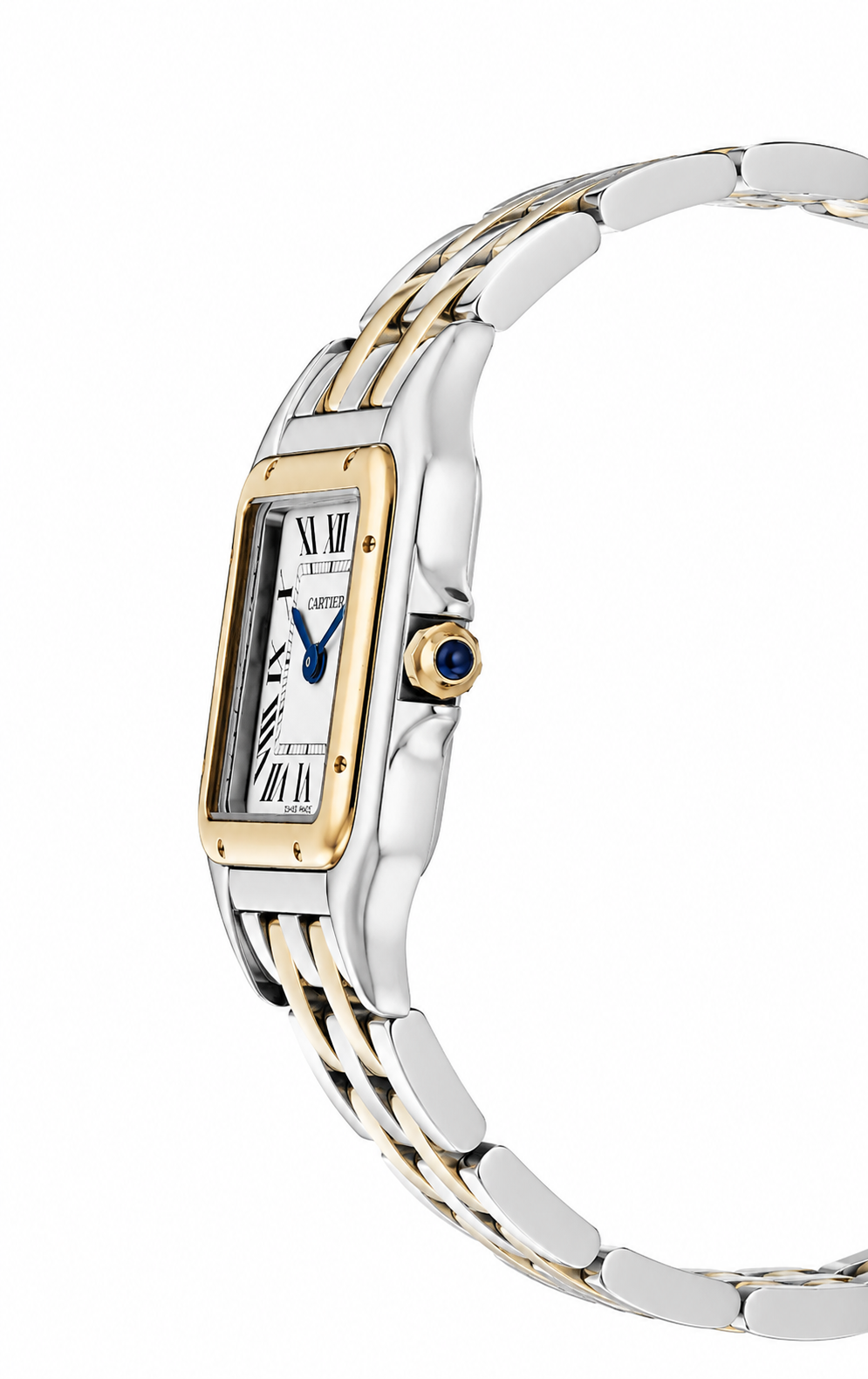 CARTIER PANTHÈRE THE CARTIER